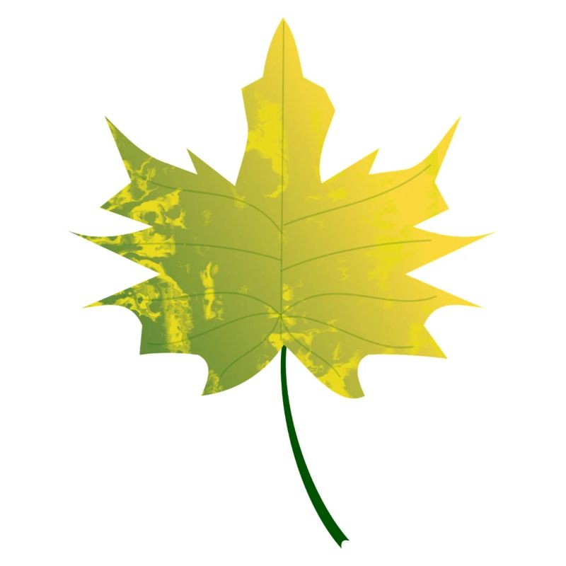feuille