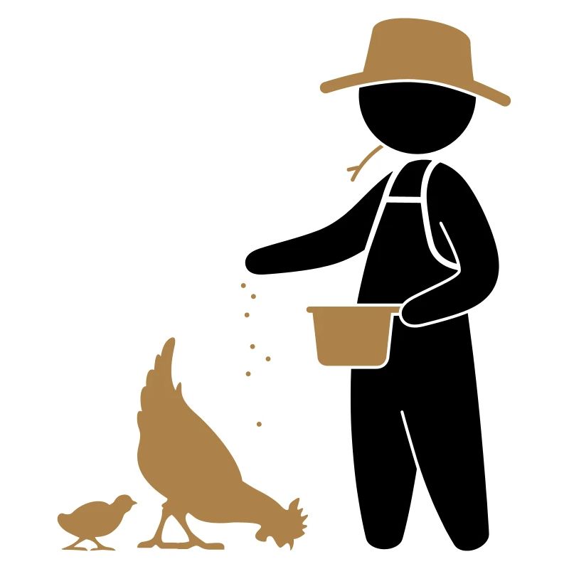 Fermier nourrir les poules
