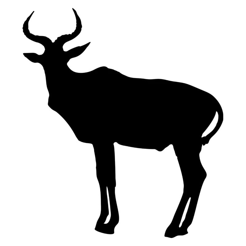 antilope