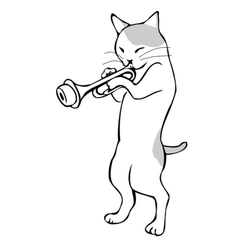 Jazz cat