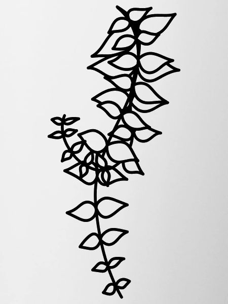 Hanging plant 2