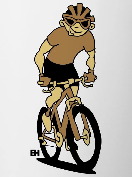 Mountain bike V tc