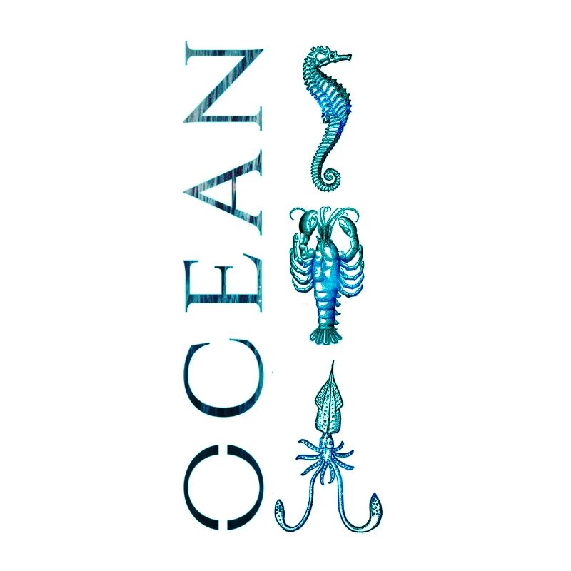 Ocean animals