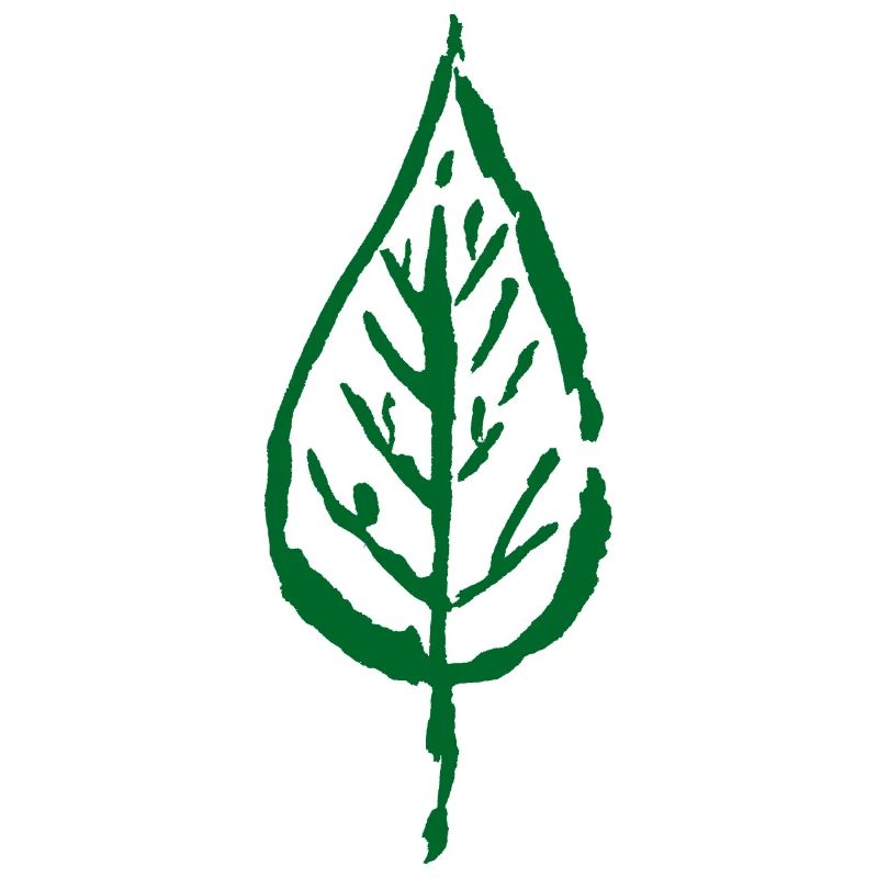 Feuille