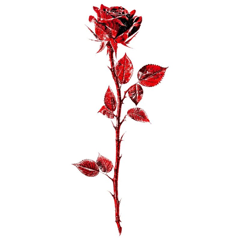 Illustration d’anémone rose pourpre