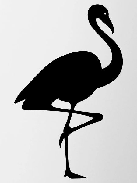 Rosa Flamingo