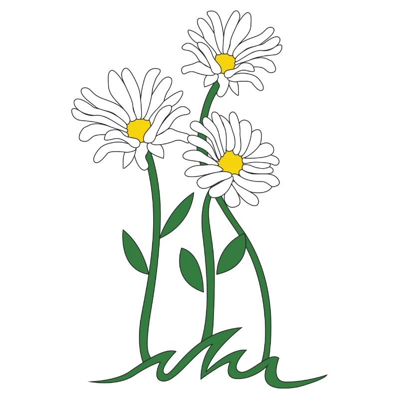 daisy