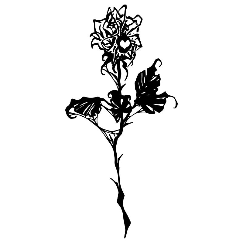 Araignée et Rose Romance gothique, Saint-Valentin