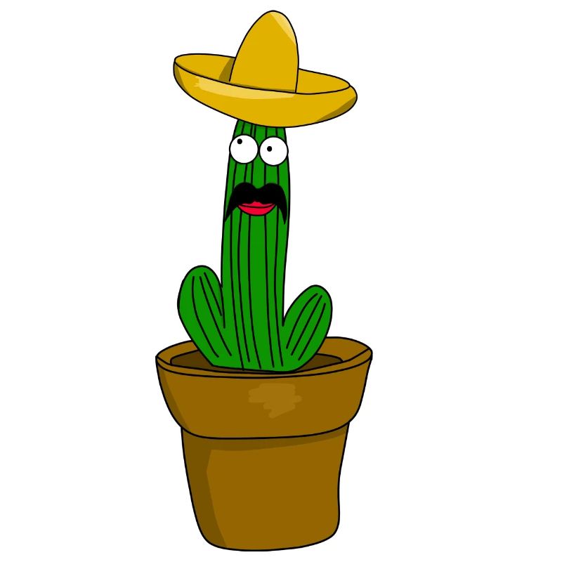 Cactus messicano
