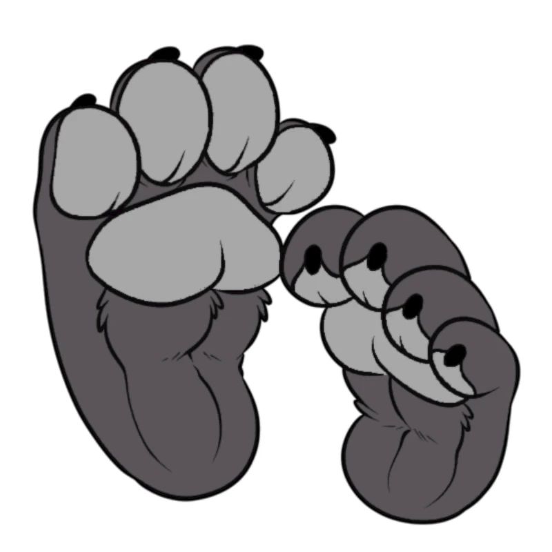 Grey Paws