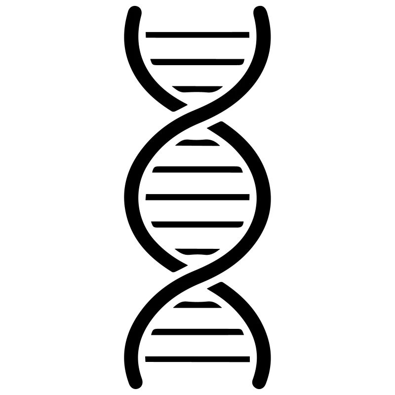 Genome