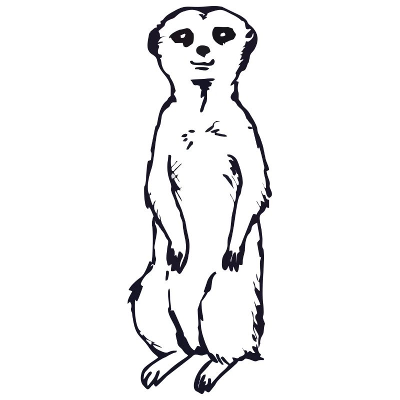 Idée cadeau bébé suricate