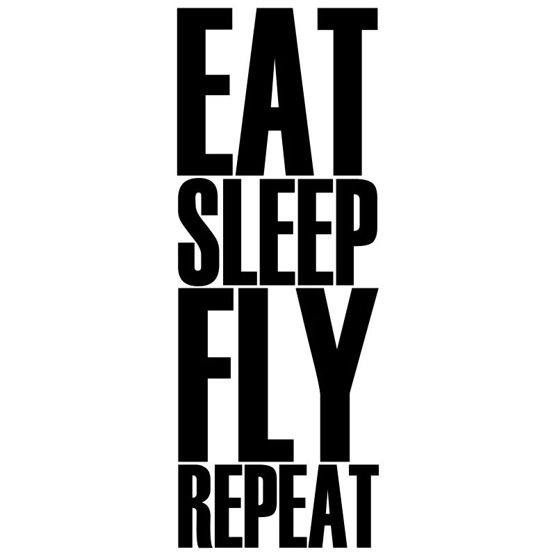MANGEZ SLEEP FLY REPEAT