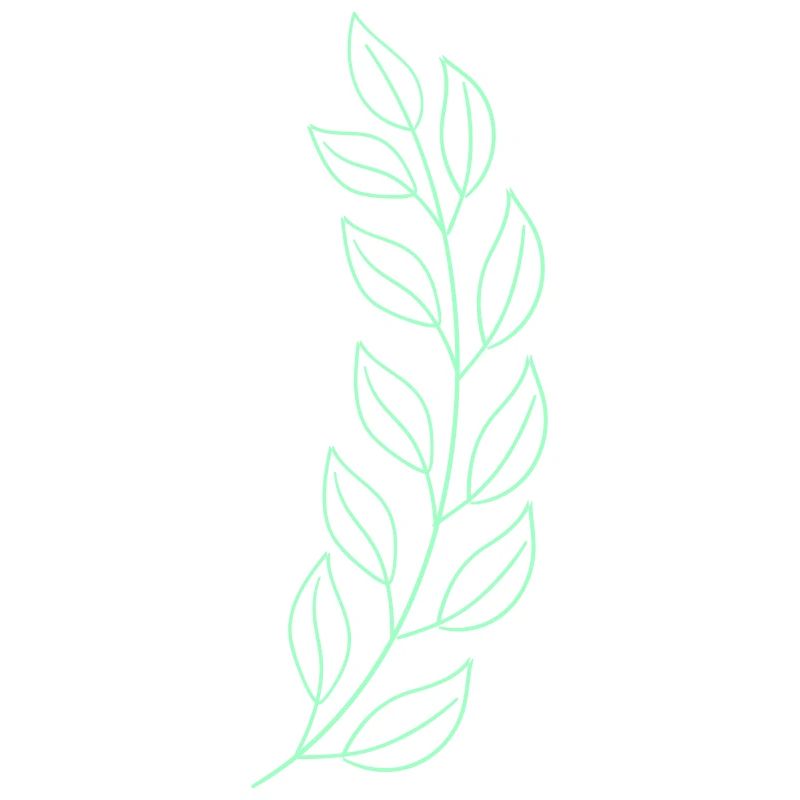 Wheat leaf
