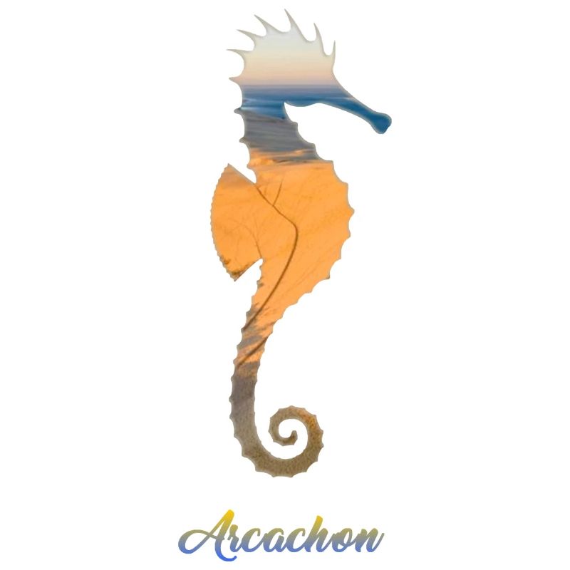 Arcachon hippocampe