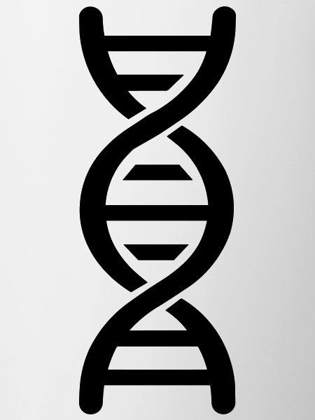 DNS