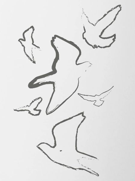 pigeons,birds,drawing,charcoal drawing,grey,deaf