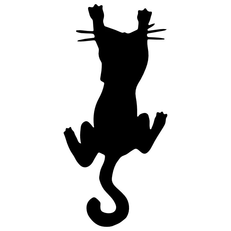 Chat drôle / chat drôle - griffe - amour de chat