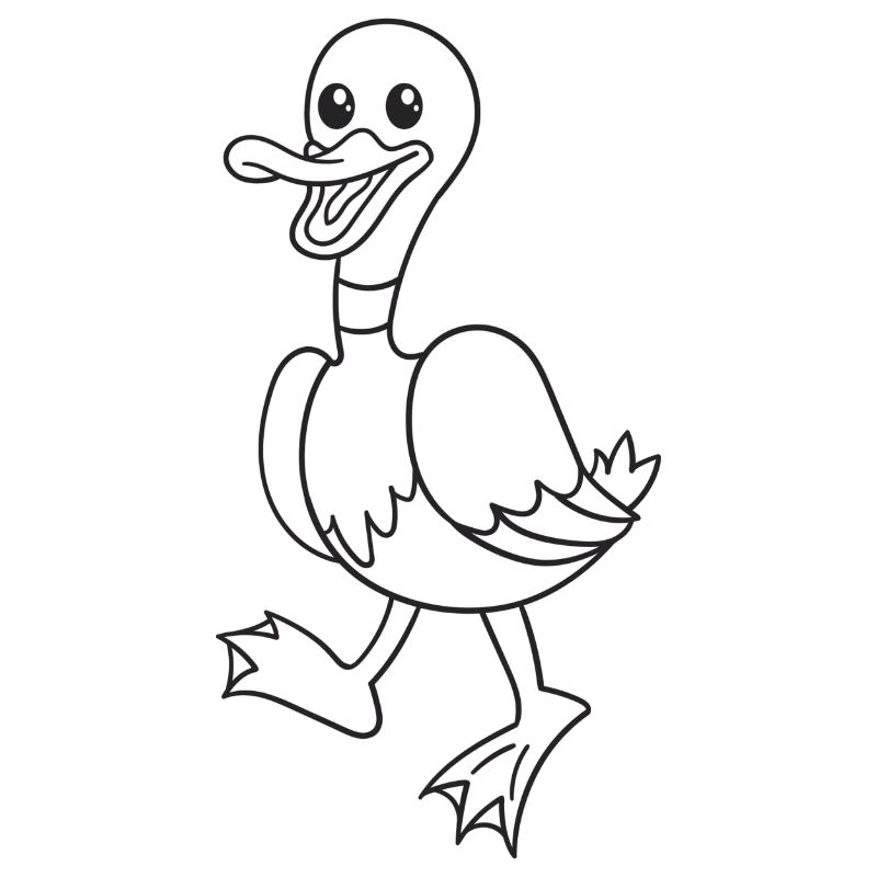 Ente, Enten, Vogel, Geschenk, Geschenkidee