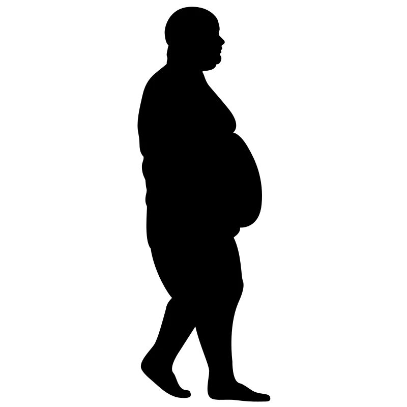 fat human silhouette