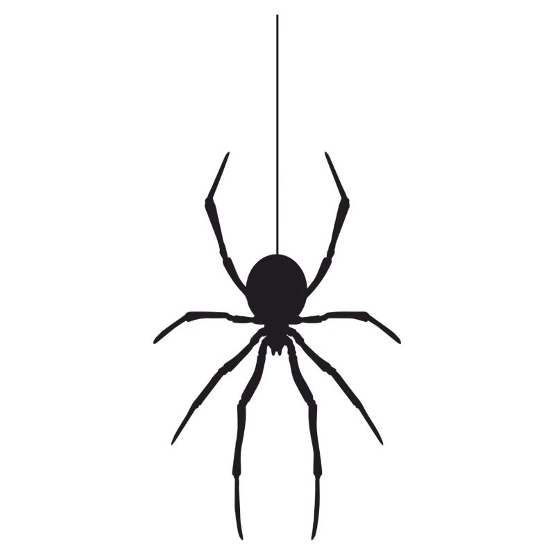 araignée
