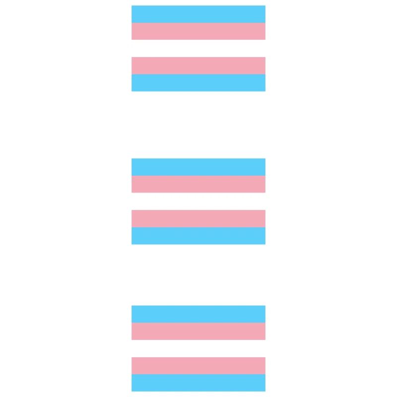 Trans Pride Flags  