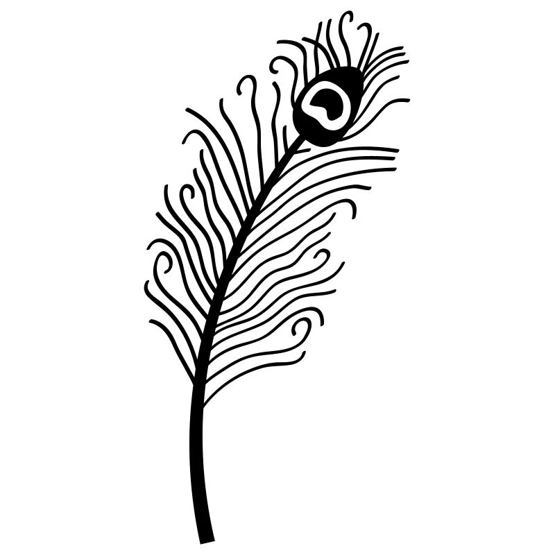 plume de paon 1