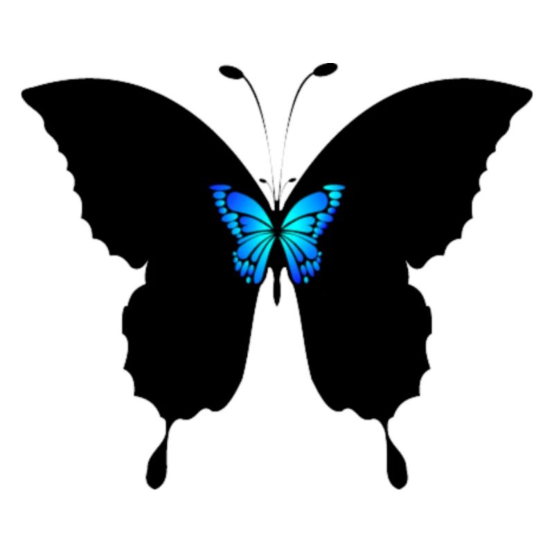 Papillon
