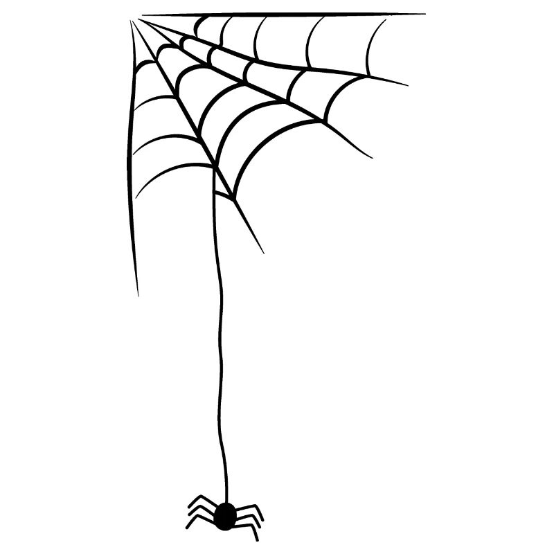 Spinne
