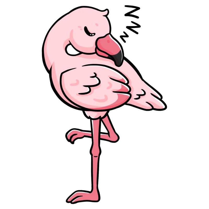 Flamingo schlafend Geschenkidee