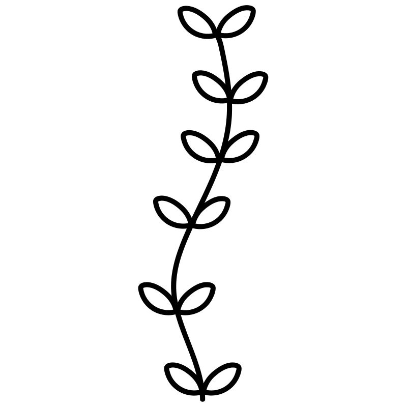 Pflanze