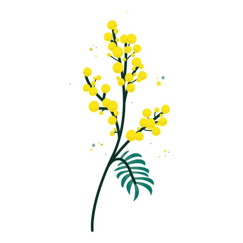 Petites Fleurs - Mimosa