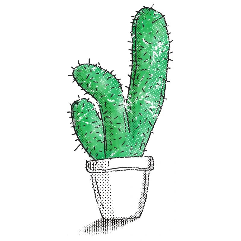 Mon petit cactus vert
