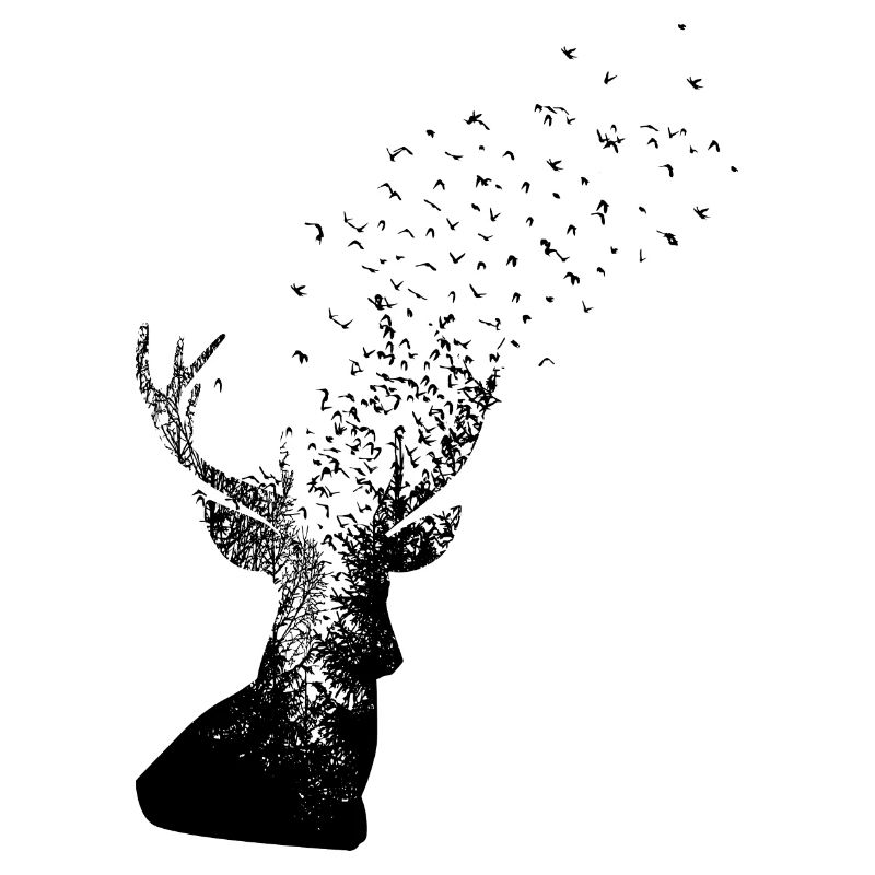 Silhouette de cerf