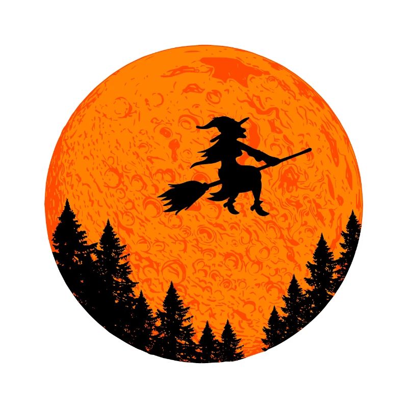 Witch on witch broom Halloween