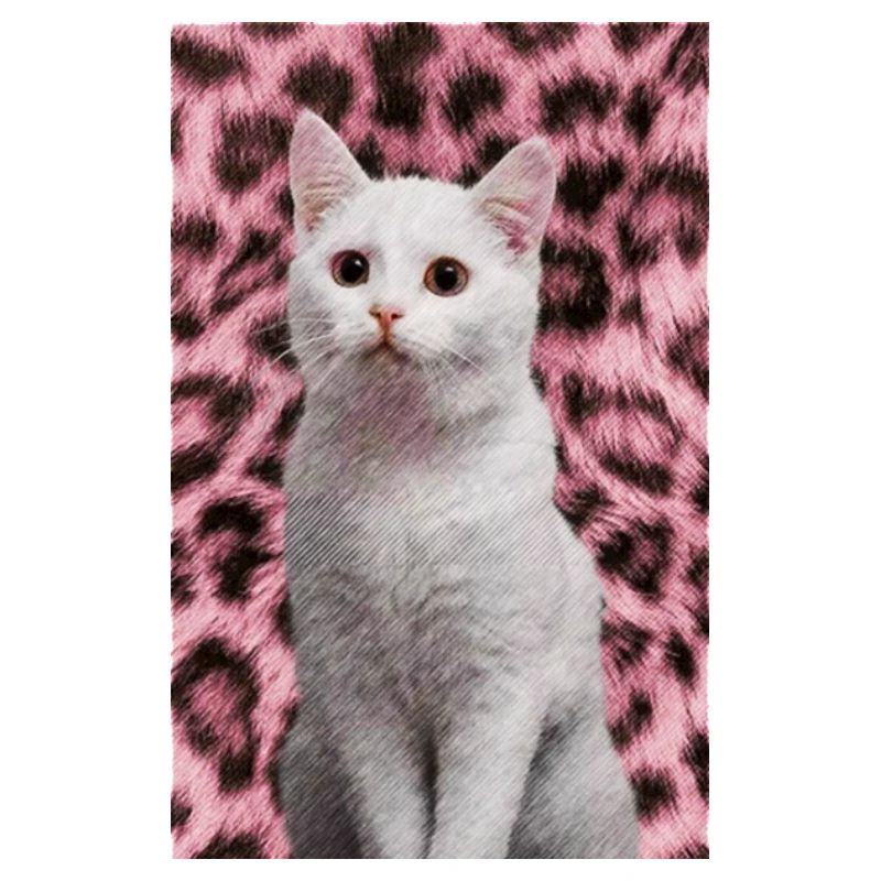 Petit chat