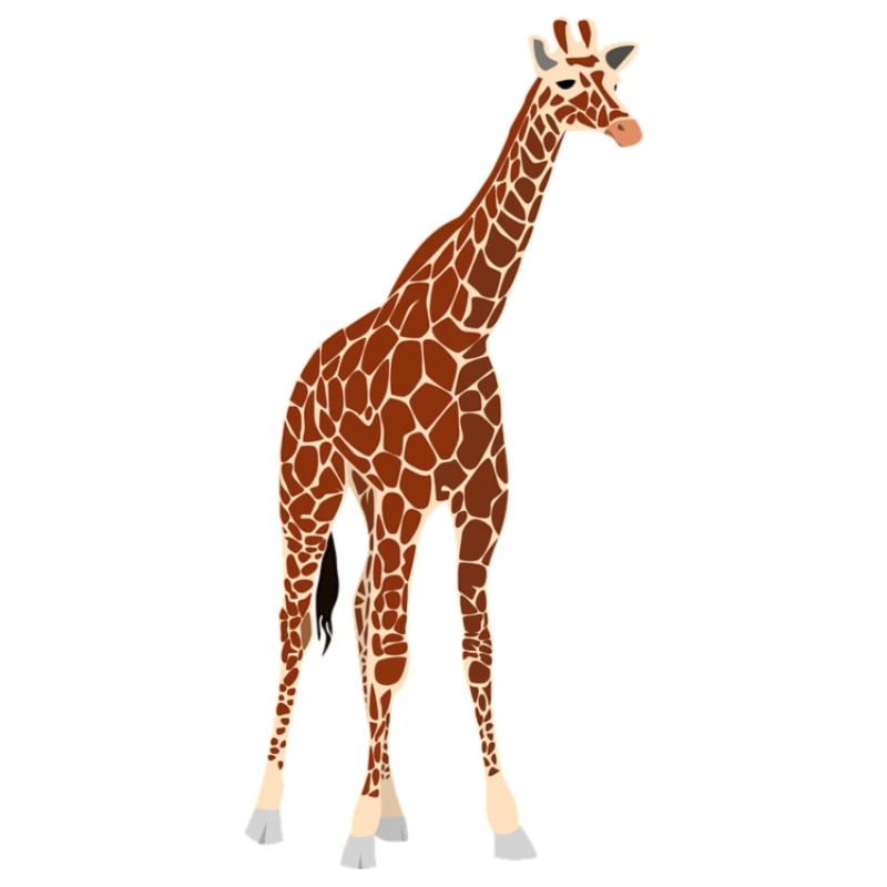girafe