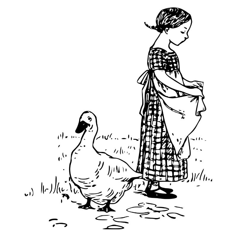 duck97