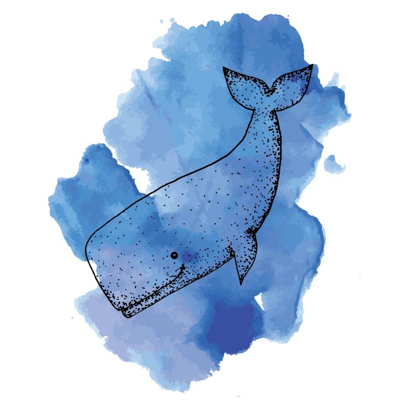 Couleur baleine