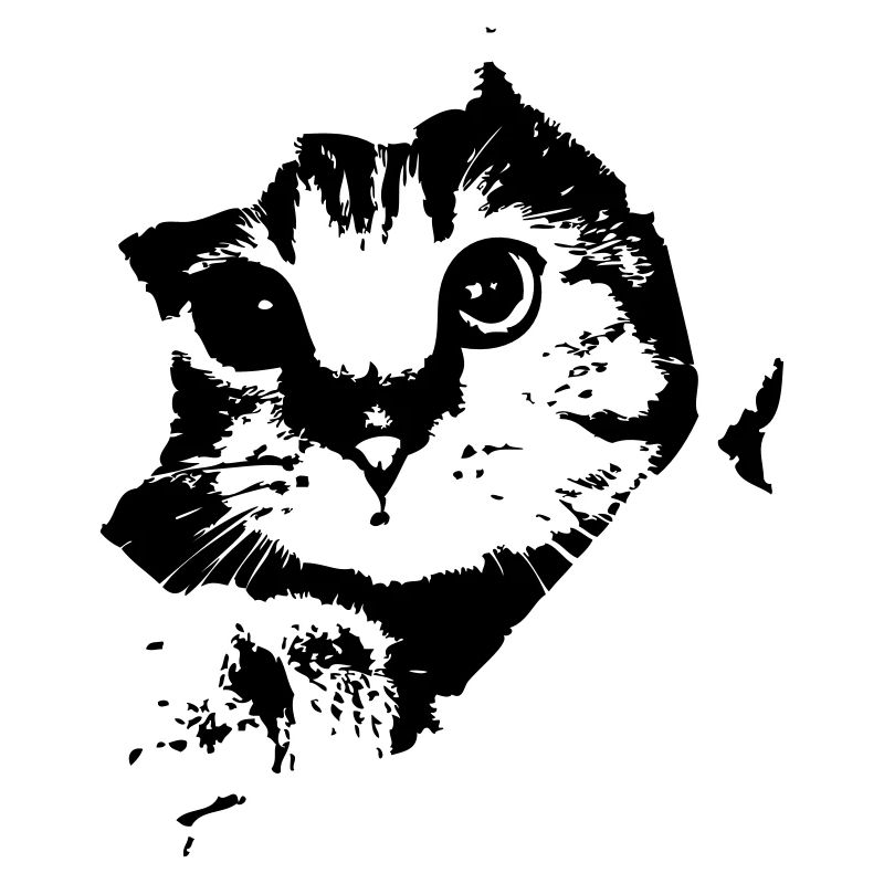 Katze