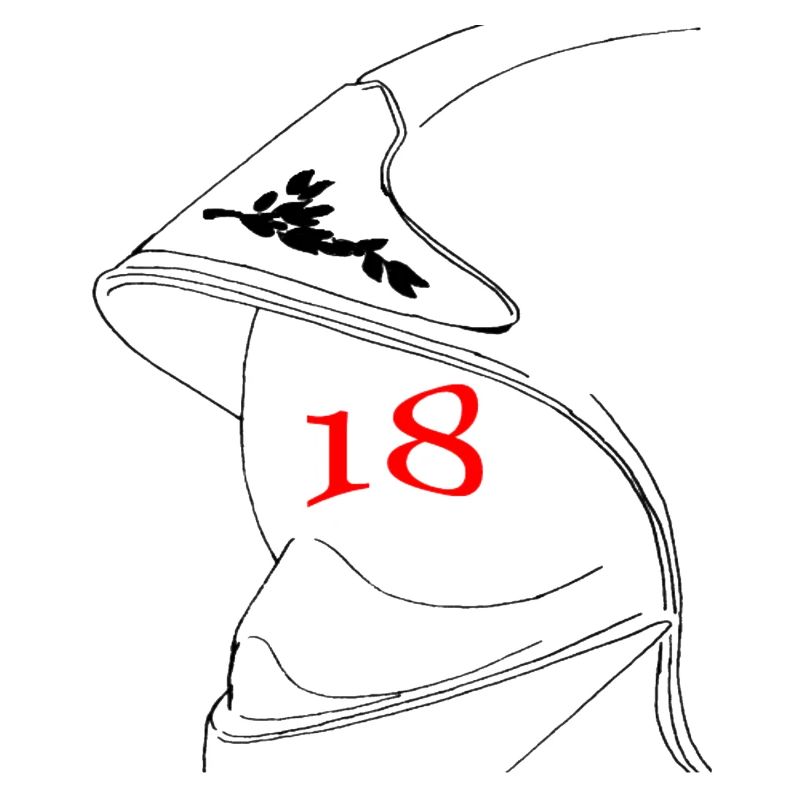 Kopfhörer 18