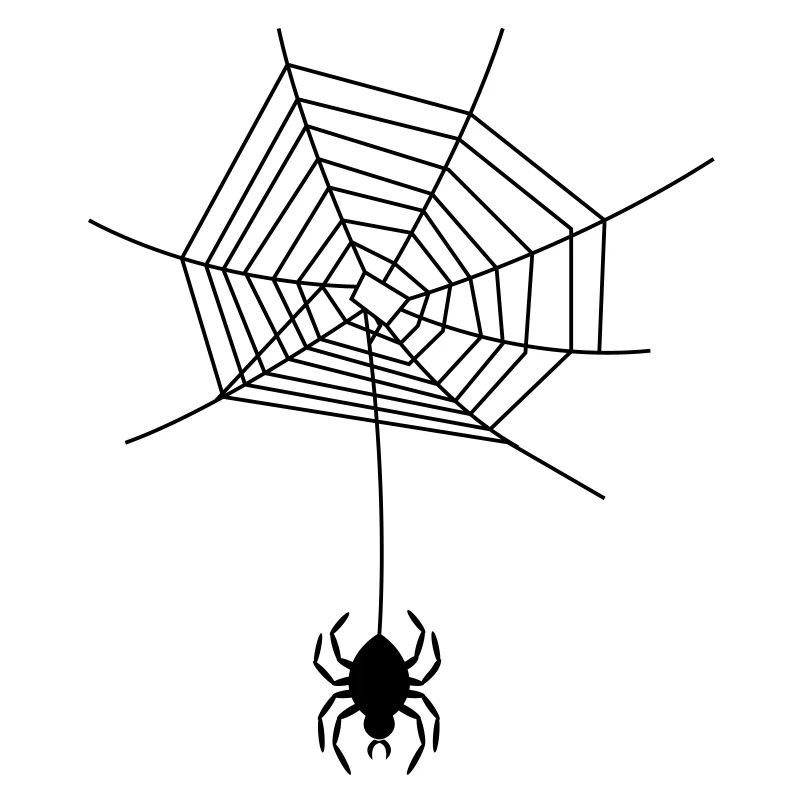 spinne_im_netz_f1