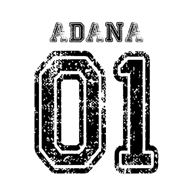 01 plaque d'immatriculation turque Adana comme un cadeau