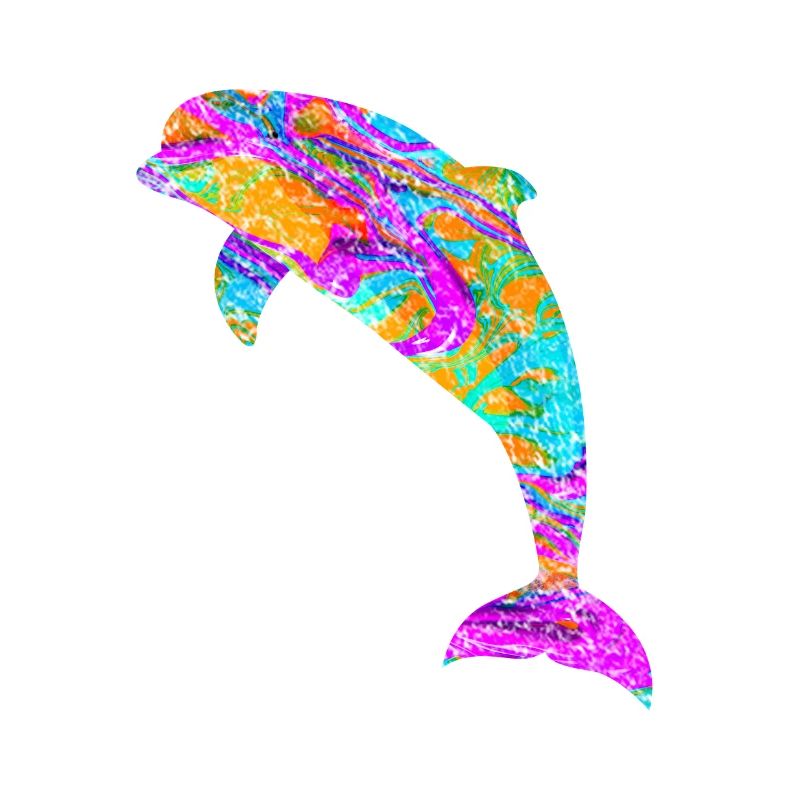 Dolphin gift aquatic mammal fish