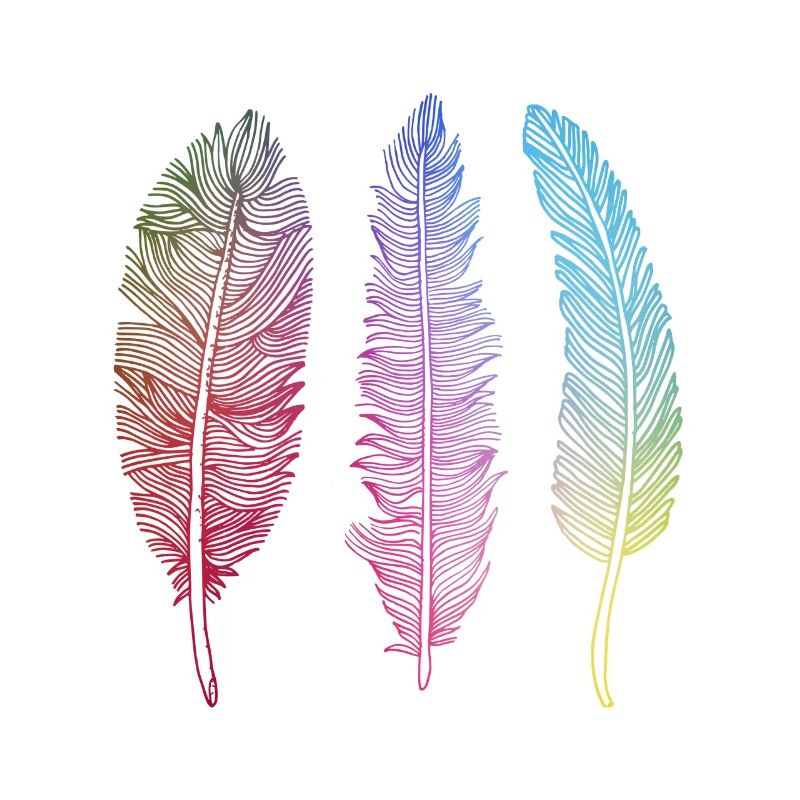 Gift feather bird feather Indian Style