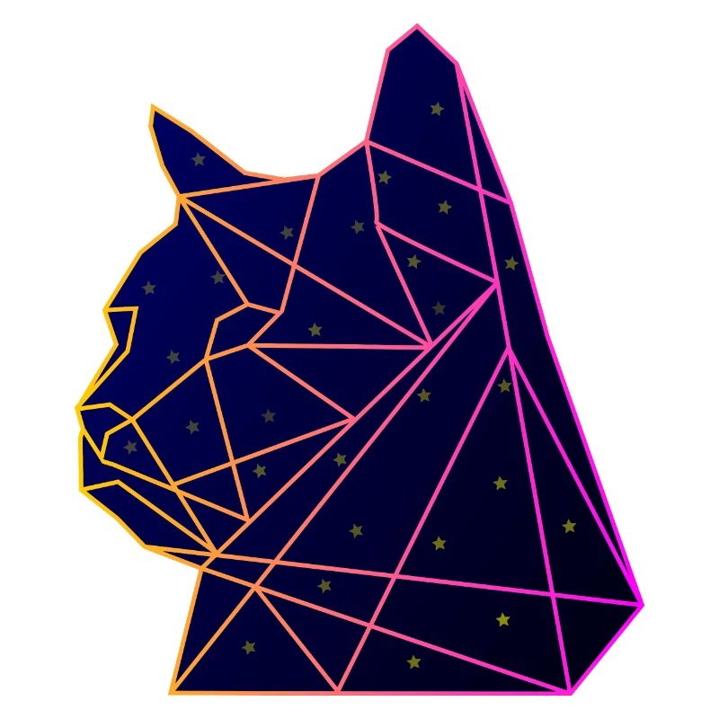 Raum Katze