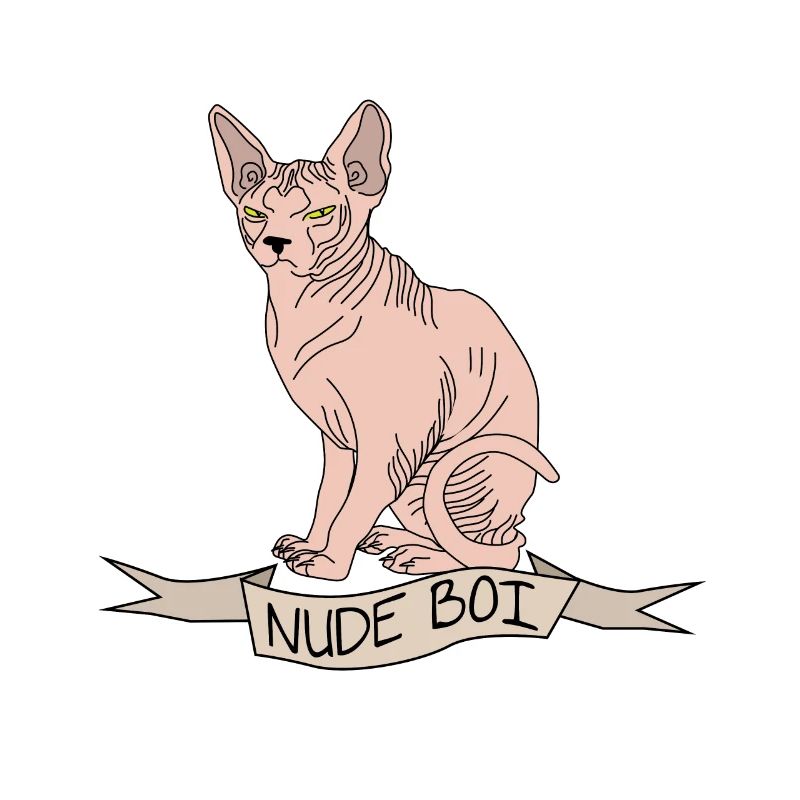 Chat nu don sphynx