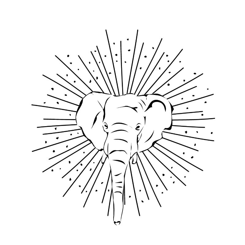 Elephant Elephant Trunk Thick Skinning Gift Idea