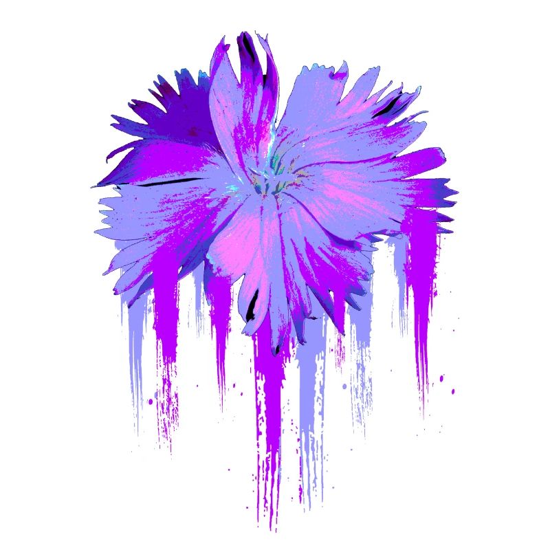 Fleur pourpre