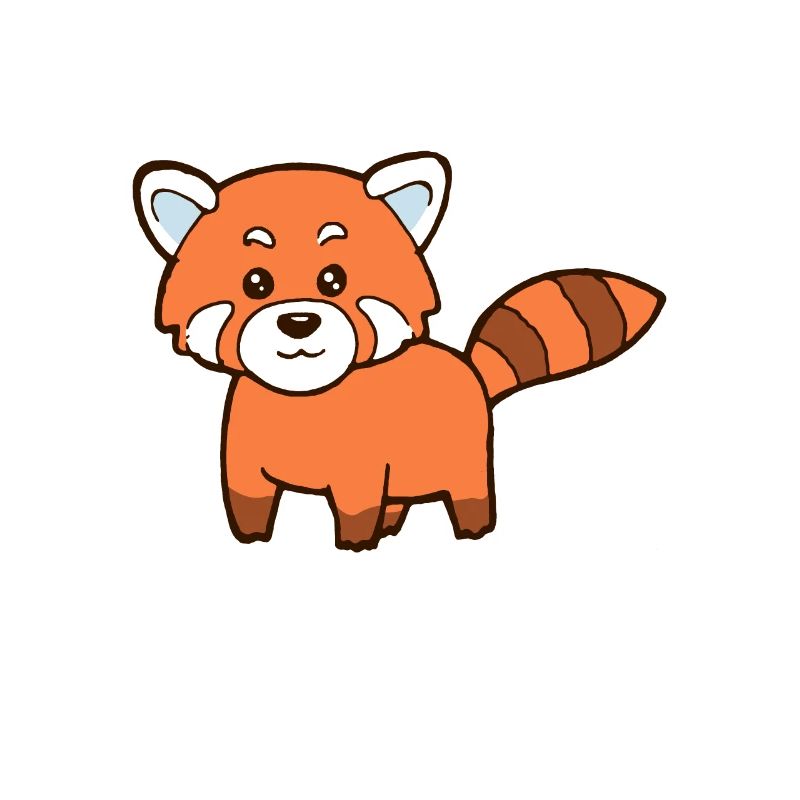 Ours de chat doux Panda rouge Panda rouge